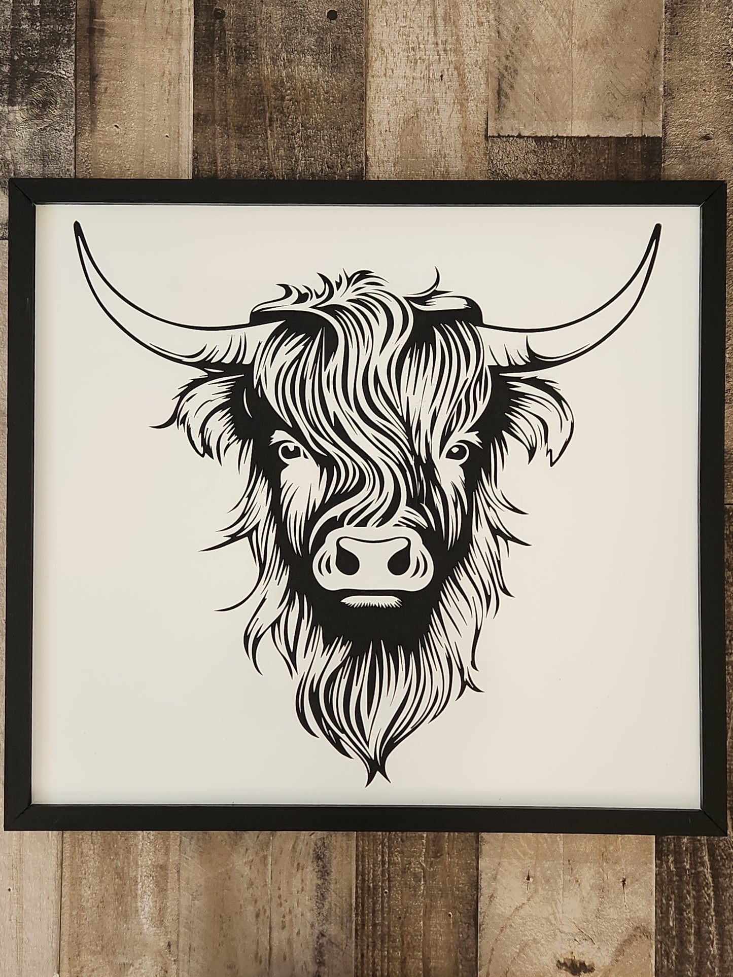 Highland Cow